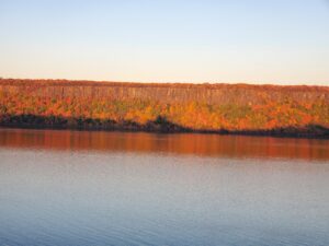 A photo of the New Jersey Palisades cliffs covered in fall foliage October 2024